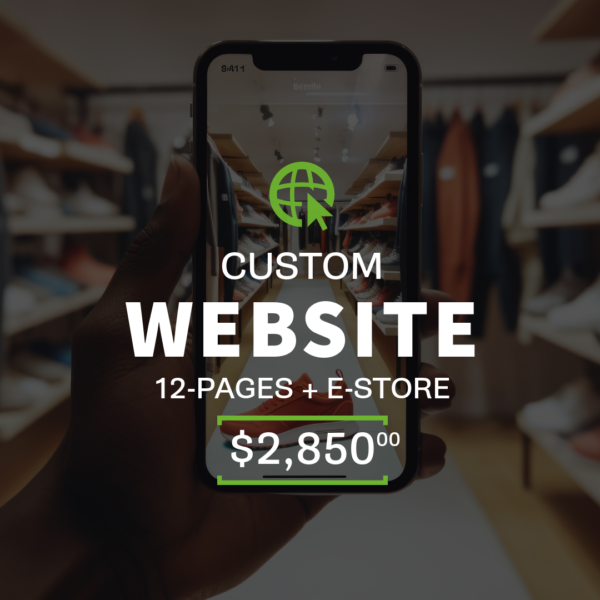 12-Page Website + E-store